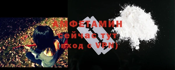 mdpv Рославль