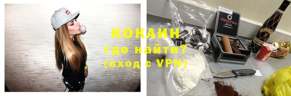 дмт Бикин