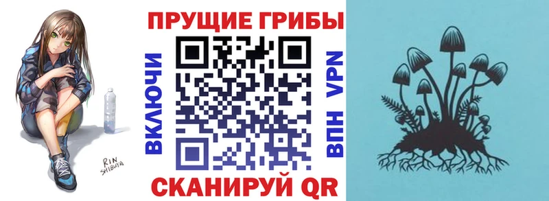 Галлюциногенные грибы MAGIC MUSHROOMS  Купить где  Зуевка 